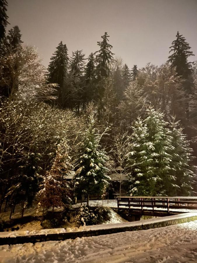 Vila De Argint Aleea Pelesului Nr 2 Sinaia Exterior foto
